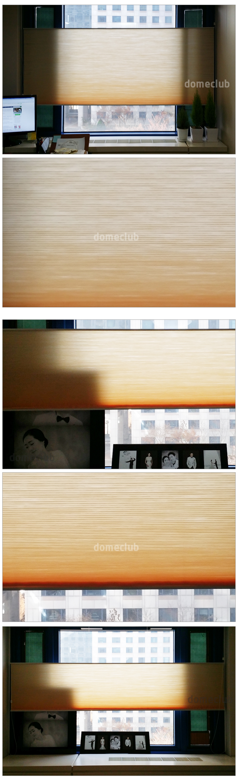 허니콤 B007
